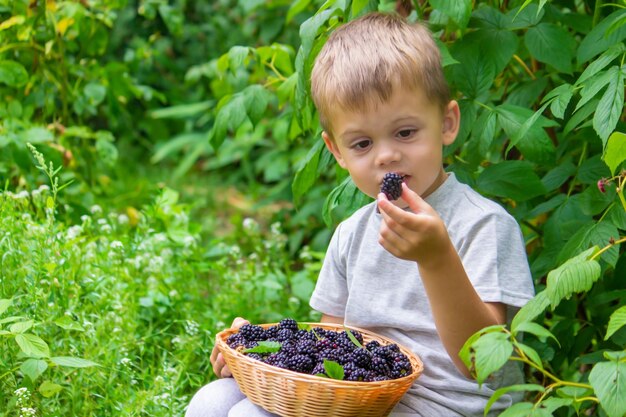 El niño sostiene en sus manos un cuenco de madera con frambuesas negras en el jardín en verano