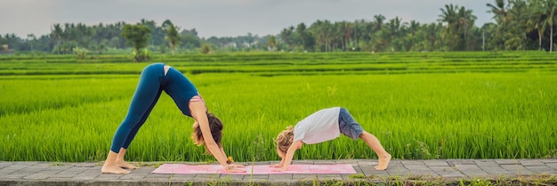 Niño y su profesor de yoga haciendo yoga en un formato largo de pancarta de campo de arroz