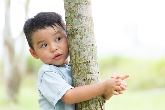 Niño, sube al árbol.