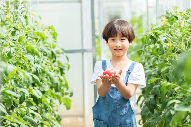 Niño con un tomate caminando en un invernadero