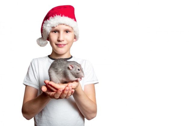 Un niño en un traje de santa claus tiene una rata dumbo en sus manos. fondo blanco aislado la rata es un símbolo de 2020. año nuevo chino.