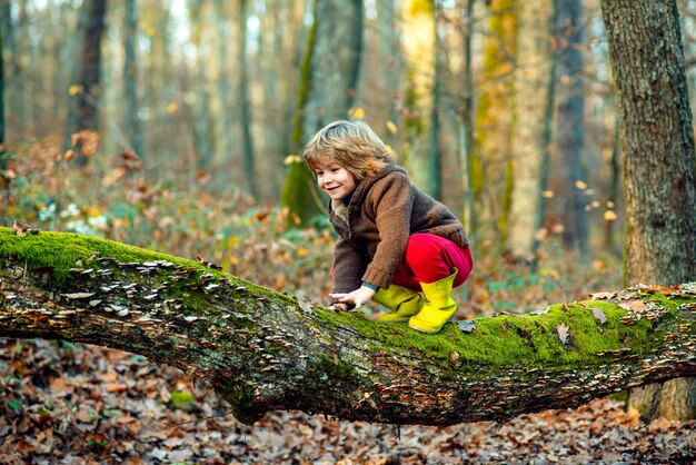 Niño trepando a un árbol, tiempo de otoño para niños.