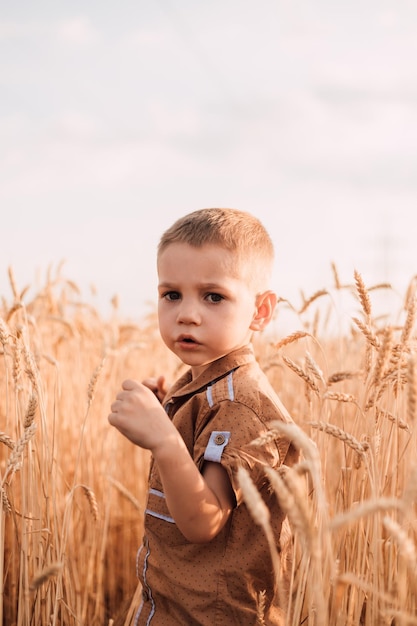 Un niño triste se para en un campo de trigo y mira hacia adelante.