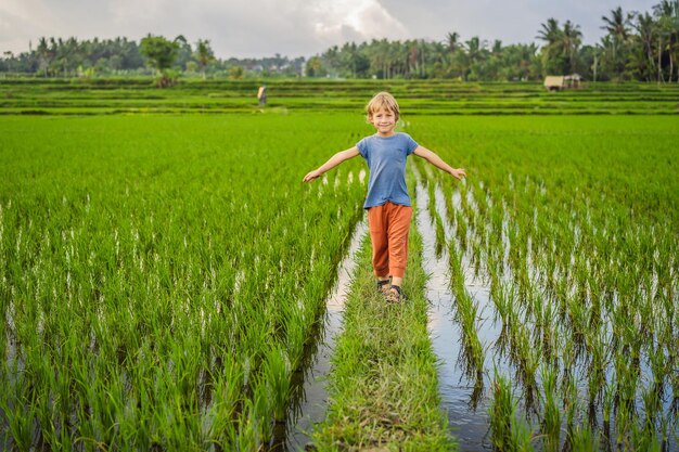 Niño turista camina en un campo de arroz viajando con niños concepto lugar amigable para niños