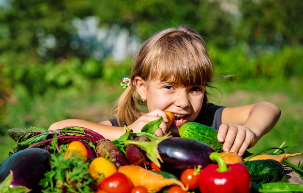 Niño y verduras en la granja. Enfoque selectivo