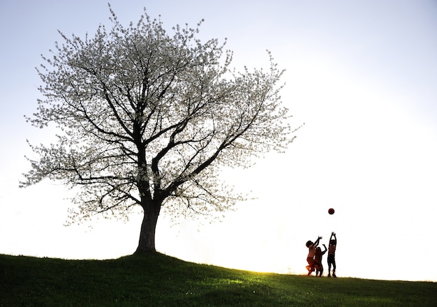 Niños al aire libre en la naturaleza