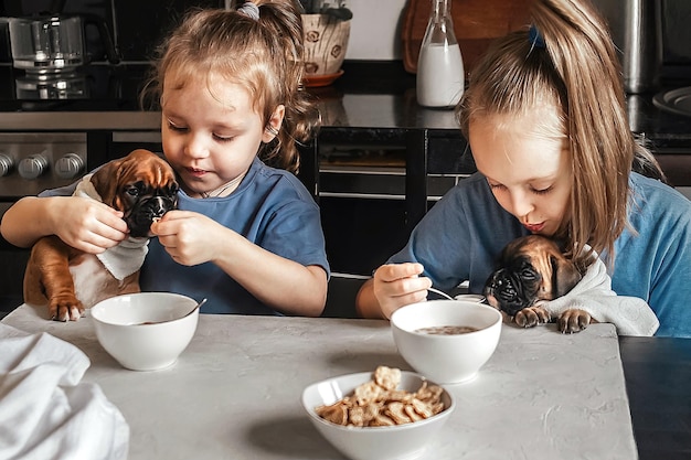 los niños alimentan a los cachorros pequeños con su desayuno en casa