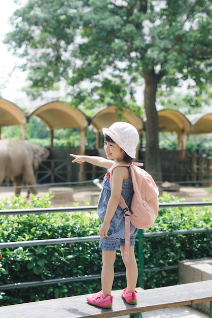 Los niños alimentan a los elefantes asiáticos en el parque safari tropical durante las vacaciones de verano. Los niños miran animales