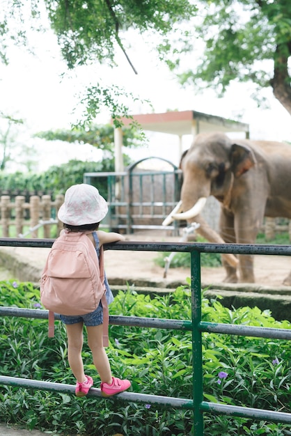 Los niños alimentan a los elefantes asiáticos en el parque safari tropical durante las vacaciones de verano. Los niños miran animales
