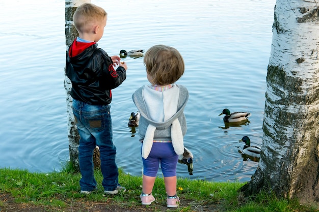 Los niños alimentan a los patos en el parque