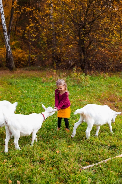 Los niños en el bosque de otoño en una parrilla de picnic salchichas y tocar la guitarra