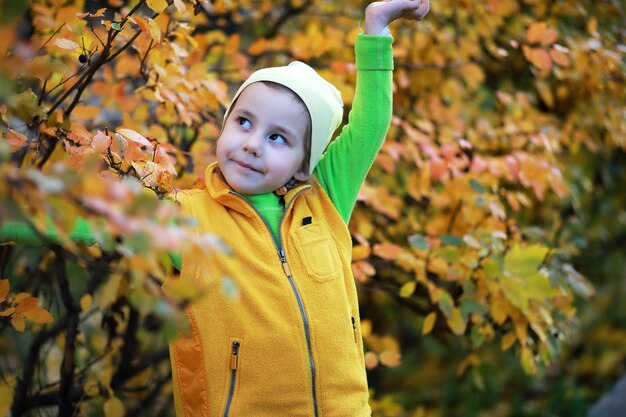 Los niños caminan en el parque de otoño en el otoño.