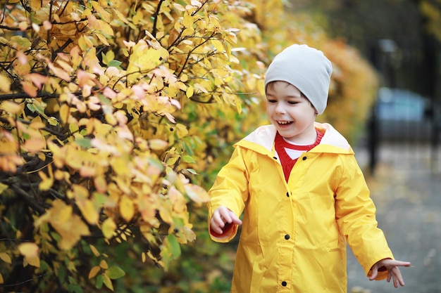 Los niños caminan en el parque de otoño en el otoño.