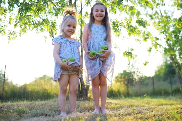 Los niños caminan en verano en la naturaleza Niño en una soleada mañana de primavera en el parque Viajar con niños