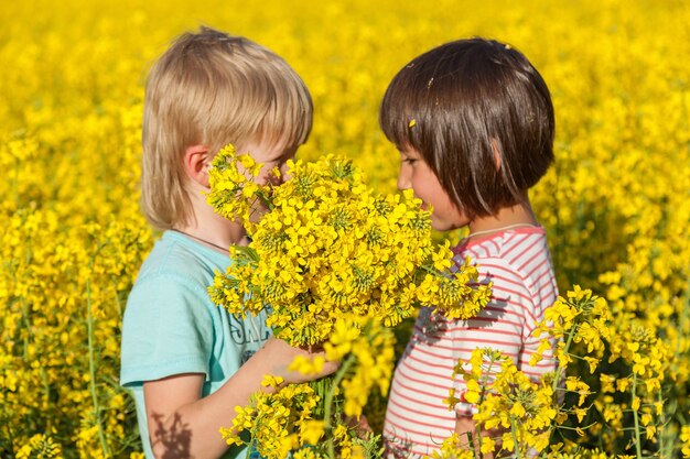 Los niños en el campo con las flores amarillas en flor de la violación.