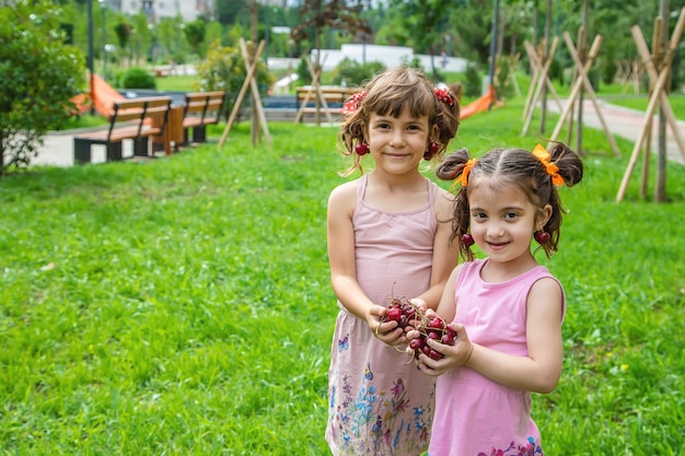 Los niños comen cerezas en verano.