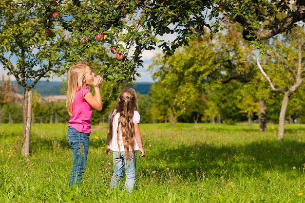 Niños comiendo manzanas