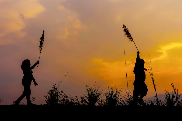 Los niños corren en el prado al atardecer.