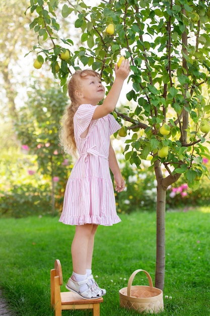 los niños cosechan frutas en el jardín