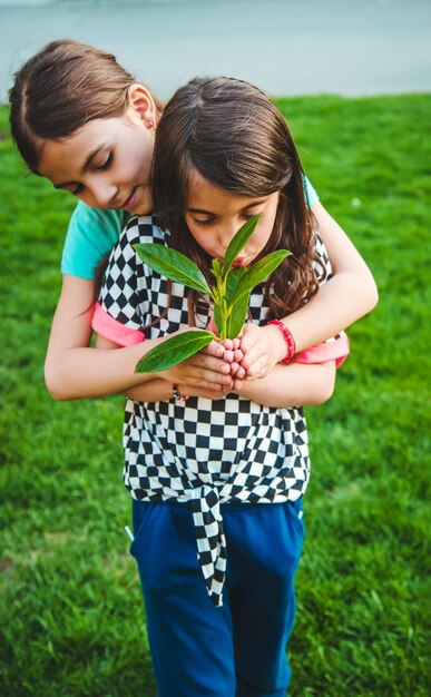 Los niños cuidan el árbol de la naturaleza en sus manos Enfoque selectivo