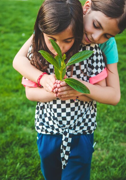 Los niños cuidan el árbol de la naturaleza en sus manos Enfoque selectivo