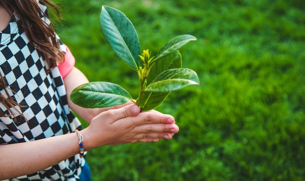 Los niños cuidan el árbol de la naturaleza en sus manos Enfoque selectivo