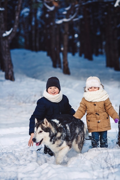 Los niños se divierten jugando con su perro en el parque en invierno.