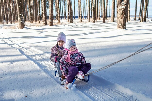 Los niños se divierten y montan el trineo en el bosque nevado de invierno, disfrutan de actividades al aire libre de temporada