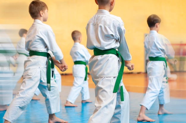 Niños entrenando en karatedo Banner con espacio para texto Para páginas web o impresión publicitaria Foto sin rostros