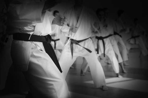 Niños entrenando en karatedo Banner con espacio para texto Para páginas web o impresión publicitaria Fotografía en blanco y negro sin rostros