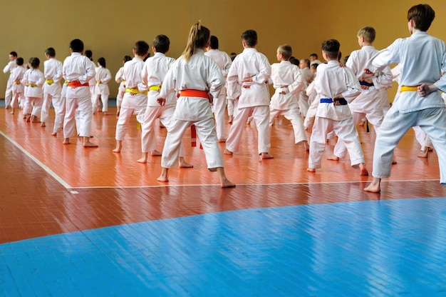 Niños entrenando en karatedo Foto sin caras desde atrás