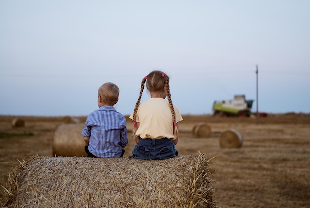 los niños están sentados en una pila de paja. Paja. cosecha. campo. un campo de paja. niño y niña