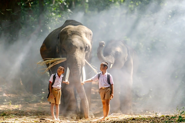 Niños estudiantes de primaria En el campo de Tailandia Caminando con un elefante Mientras van a la escuela