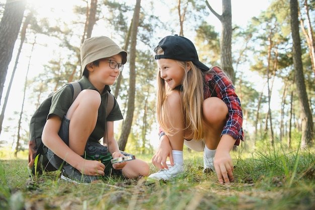 Niños exploradores en el bosque