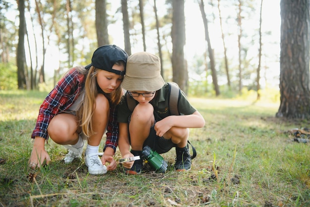 Niños exploradores en el bosque