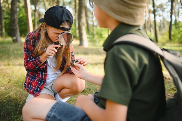 Niños exploradores en el bosque