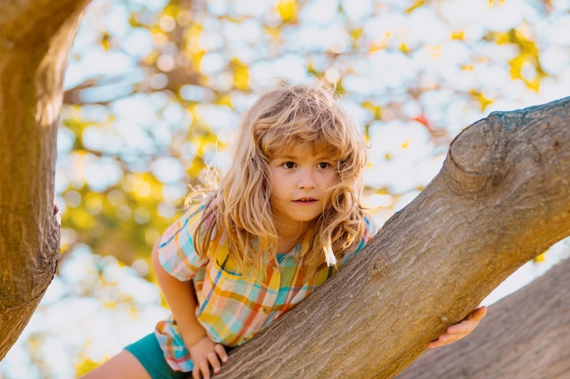Niños felices trepando árboles y divirtiéndose en el parque de verano