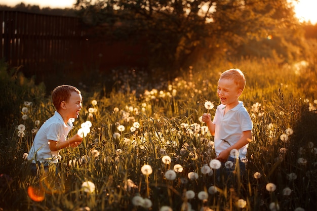 niños felices en el verano jugando con dientes de león en el campo