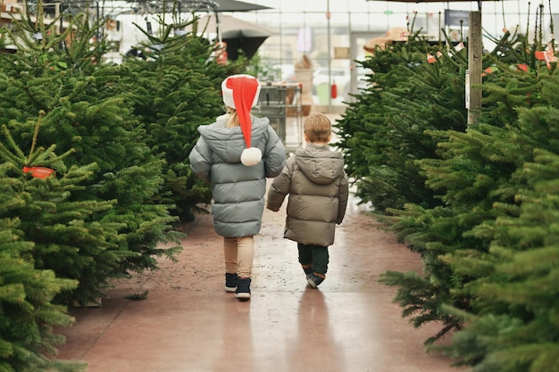 Los niños con gorras rojas eligen un árbol de Navidad en una tienda