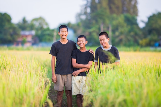 Los niños inocentes jugando en los campos de arroz.