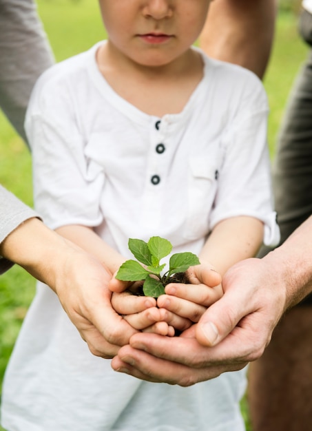 Niños Jardinería Verdor Crecer Ocio