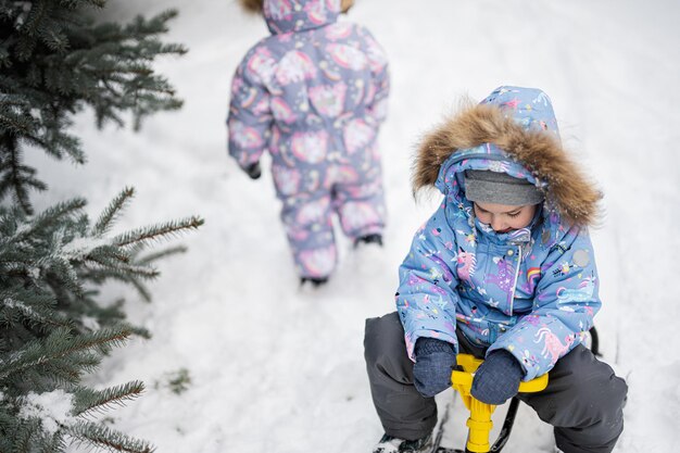 Los niños juegan al aire libre en la nieve Dos hermanitas disfrutan de un paseo en trineo