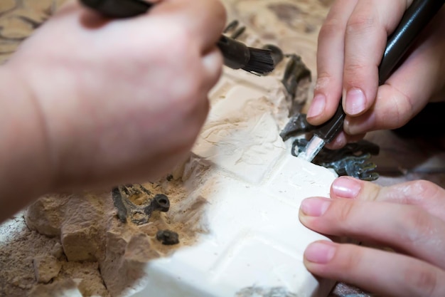 Los niños juegan excavaciones arqueológicas de yeso y dinosaurio