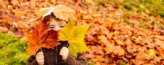 Los niños juegan en el parque de otoño Los niños arrojan hojas amarillas Niño con roble y hoja de arce Follaje de otoño Diversión familiar al aire libre en otoño Niño o niño en edad preescolar en otoño