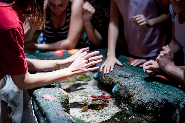 Niños jugando con peces en el acuario