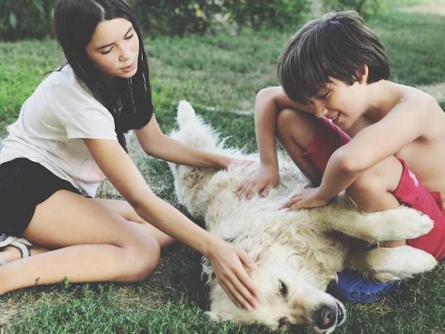 Niños jugando con perros en el césped
