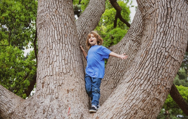 Niños jugando trepando a un árbol en un parque al aire libre