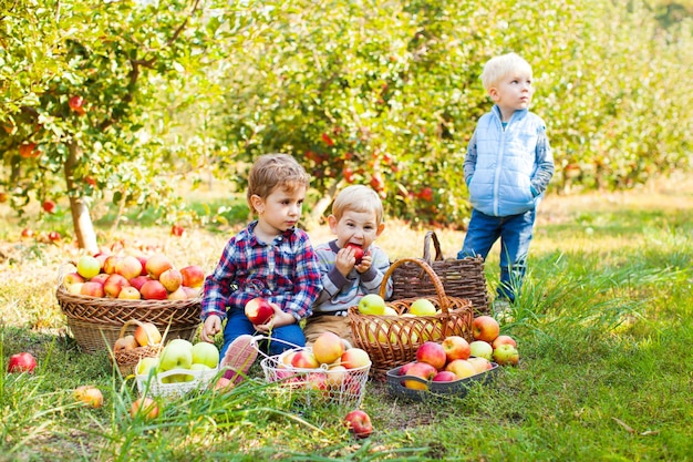 Niños lindos de 2-3 años en la excursión en la granja. Niños en edad preescolar en el jardín de manzanas