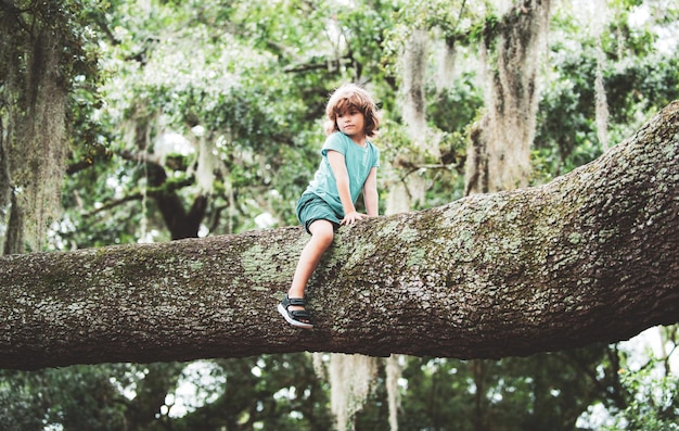 Niños lindos niño trepando al árbol Niño sentado en una rama grande Concepto de seguro médico para fam