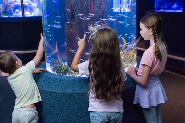 Niños lindos que miran el acuario